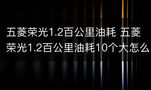 五菱荣光1.2百公里油耗 五菱荣光1.2百公里油耗10个大怎么办