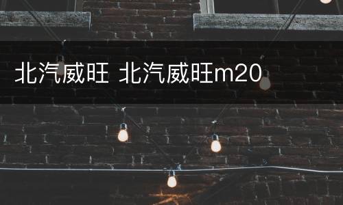 北汽威旺 北汽威旺m20