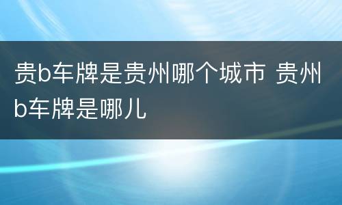 贵b车牌是贵州哪个城市 贵州b车牌是哪儿