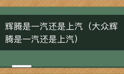 辉腾是一汽还是上汽（大众辉腾是一汽还是上汽）