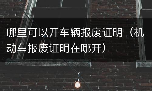 哪里可以开车辆报废证明（机动车报废证明在哪开）