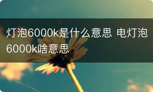 灯泡6000k是什么意思 电灯泡6000k啥意思