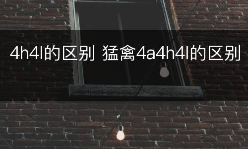 4h4l的区别 猛禽4a4h4l的区别