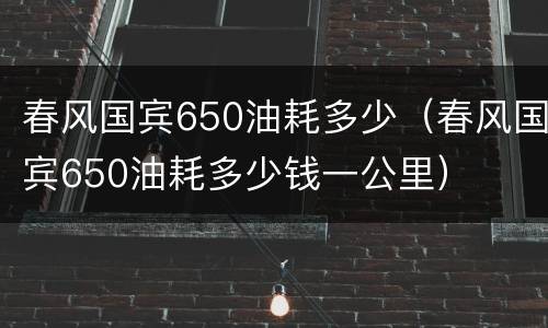 春风国宾650油耗多少（春风国宾650油耗多少钱一公里）