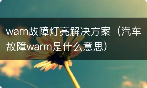 warn故障灯亮解决方案（汽车故障warm是什么意思）