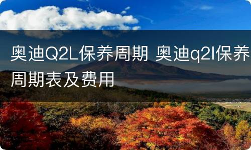 奥迪Q2L保养周期 奥迪q2l保养周期表及费用