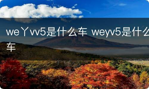 we丫vv5是什么车 weyv5是什么车