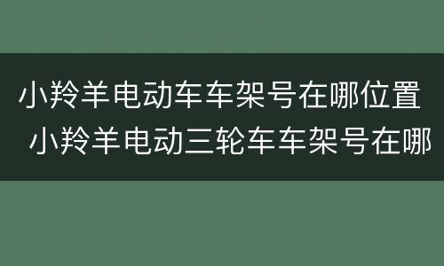 小羚羊电动车车架号在哪位置 小羚羊电动三轮车车架号在哪里