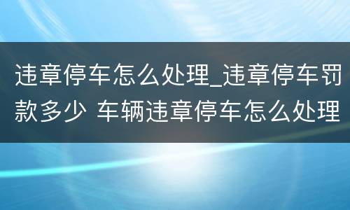 违章停车怎么处理_违章停车罚款多少 车辆违章停车怎么处理罚款多少