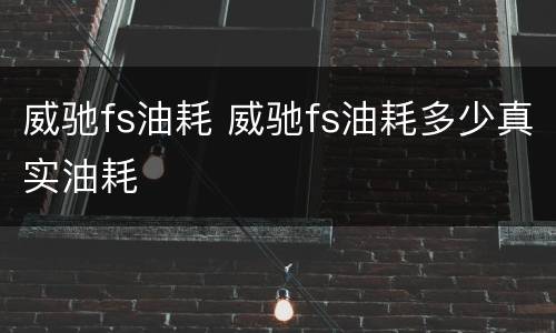 威驰fs油耗 威驰fs油耗多少真实油耗