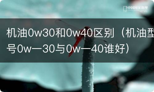 机油0w30和0w40区别（机油型号0w一30与0w一40谁好）