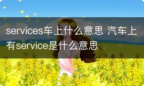 services车上什么意思 汽车上有service是什么意思