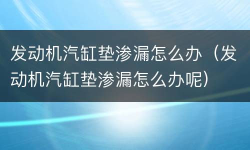 发动机汽缸垫渗漏怎么办（发动机汽缸垫渗漏怎么办呢）