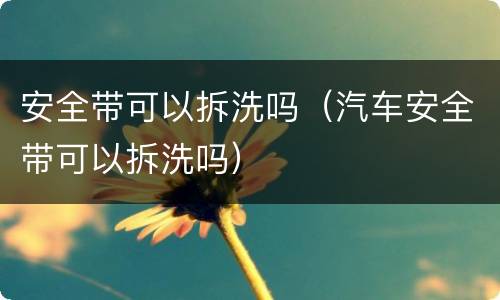 安全带可以拆洗吗（汽车安全带可以拆洗吗）