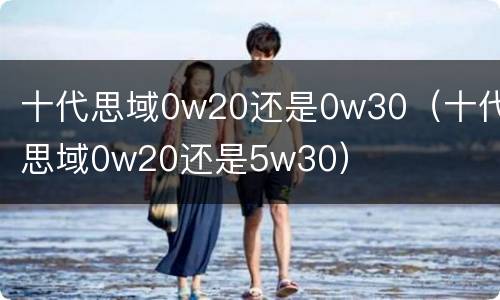 十代思域0w20还是0w30（十代思域0w20还是5w30）