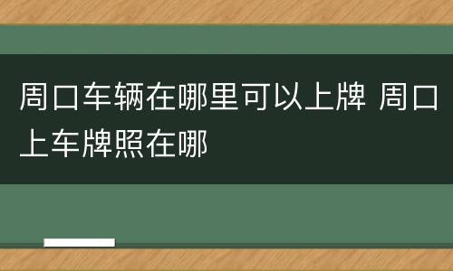 周口车辆在哪里可以上牌 周口上车牌照在哪