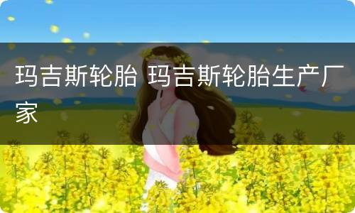 玛吉斯轮胎 玛吉斯轮胎生产厂家