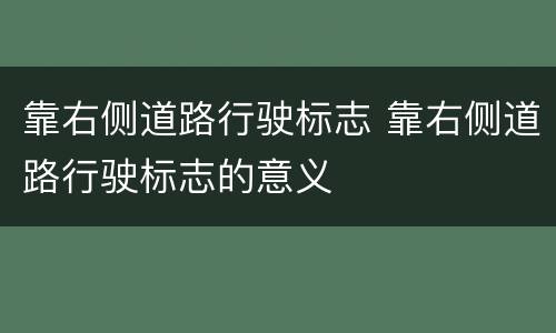 靠右侧道路行驶标志 靠右侧道路行驶标志的意义