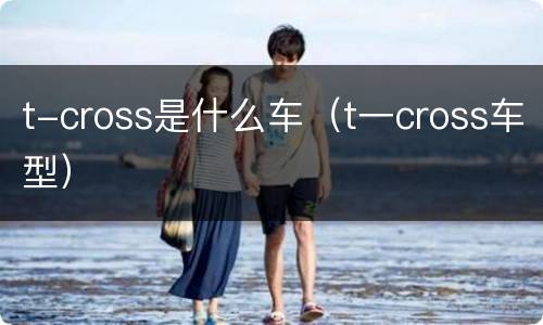 t-cross是什么车（t一cross车型）