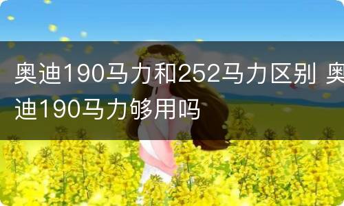 奥迪190马力和252马力区别 奥迪190马力够用吗