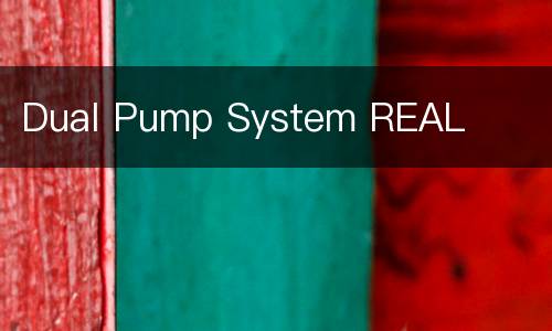 Dual Pump System REAL