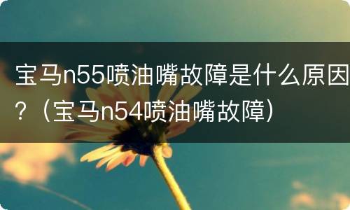 宝马n55喷油嘴故障是什么原因?（宝马n54喷油嘴故障）