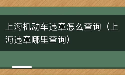 上海机动车违章怎么查询（上海违章哪里查询）