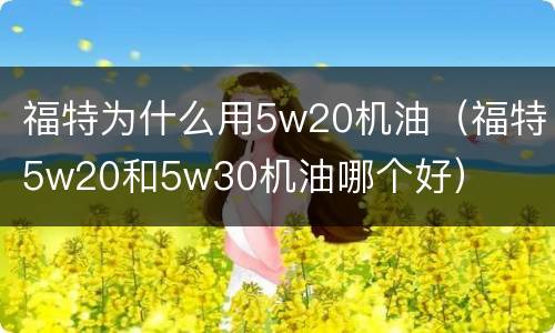 福特为什么用5w20机油（福特5w20和5w30机油哪个好）