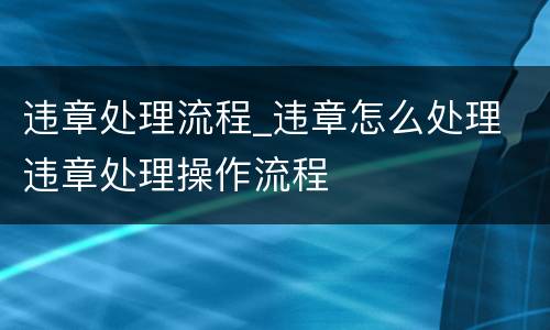 违章处理流程_违章怎么处理 违章处理操作流程