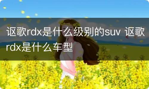 讴歌rdx是什么级别的suv 讴歌rdx是什么车型