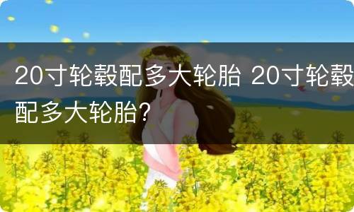 20寸轮毂配多大轮胎 20寸轮毂配多大轮胎?