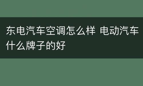 东电汽车空调怎么样 电动汽车什么牌子的好