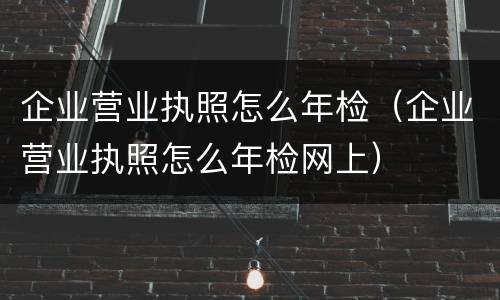 企业营业执照怎么年检（企业营业执照怎么年检网上）