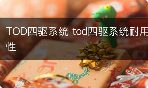 TOD四驱系统 tod四驱系统耐用性