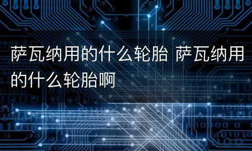 萨瓦纳用的什么轮胎 萨瓦纳用的什么轮胎啊