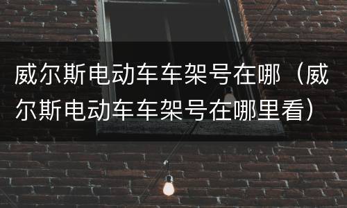 威尔斯电动车车架号在哪（威尔斯电动车车架号在哪里看）