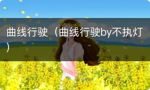 曲线行驶（曲线行驶by不执灯）