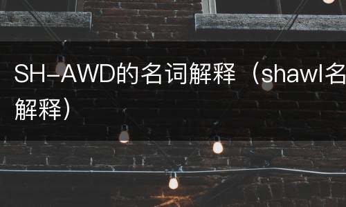 SH-AWD的名词解释（shawl名词解释）