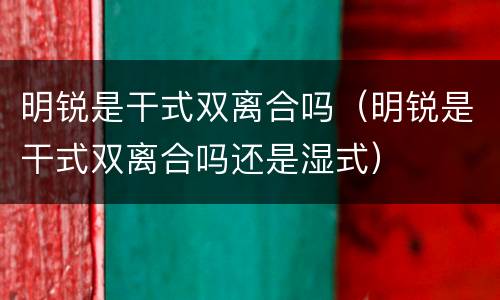 明锐是干式双离合吗（明锐是干式双离合吗还是湿式）