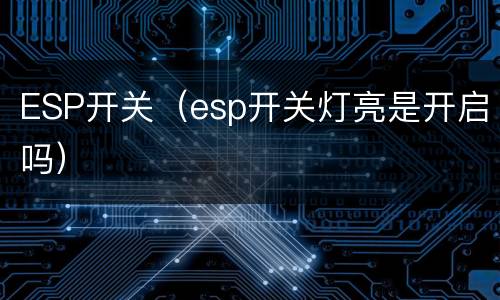 ESP开关（esp开关灯亮是开启吗）