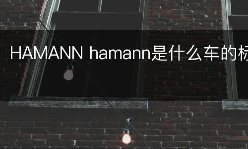 HAMANN hamann是什么车的标志