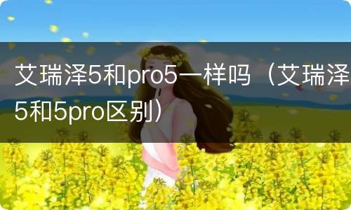 艾瑞泽5和pro5一样吗（艾瑞泽5和5pro区别）