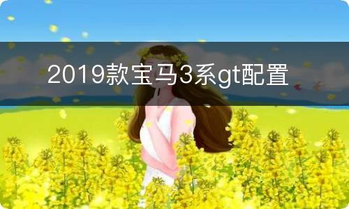 ​ 2019款宝马3系gt配置