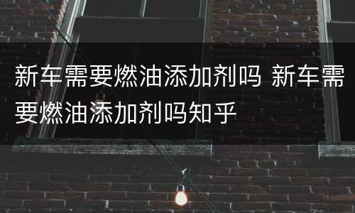 新车需要燃油添加剂吗 新车需要燃油添加剂吗知乎