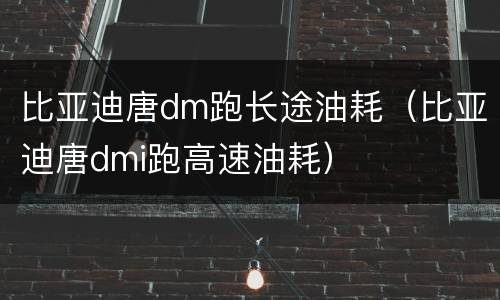 比亚迪唐dm跑长途油耗（比亚迪唐dmi跑高速油耗）