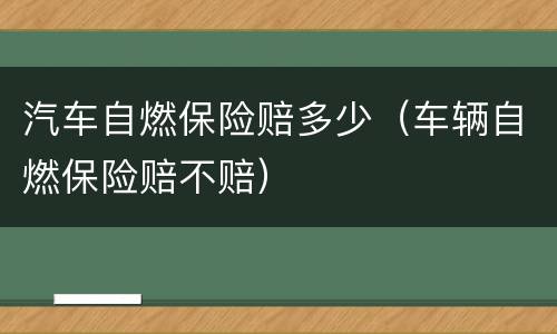 汽车自燃保险赔多少（车辆自燃保险赔不赔）