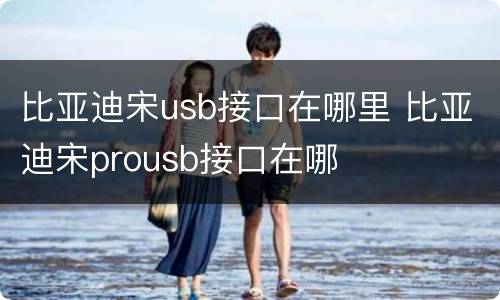 比亚迪宋usb接口在哪里 比亚迪宋prousb接口在哪