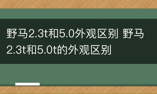 野马2.3t和5.0外观区别 野马2.3t和5.0t的外观区别