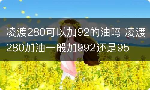 凌渡280可以加92的油吗 凌渡280加油一般加992还是95