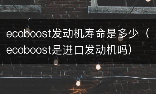 ecoboost发动机寿命是多少（ecoboost是进口发动机吗）